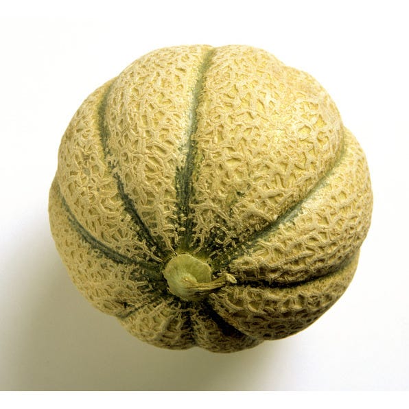 Melon Brodé 