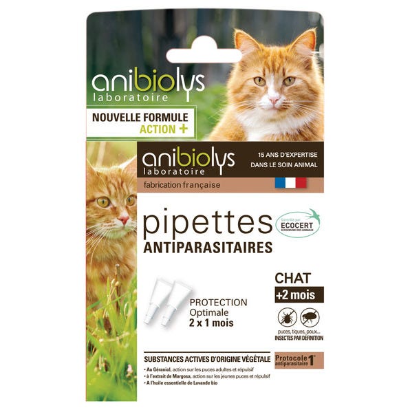 Collier antiparasitaire chat